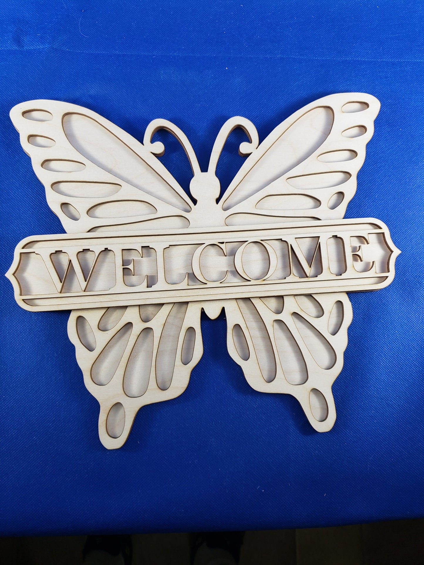 Butterfly Welcome DIY Door Sign kit - Great for Birthdays, Home Decor, Paint Parties